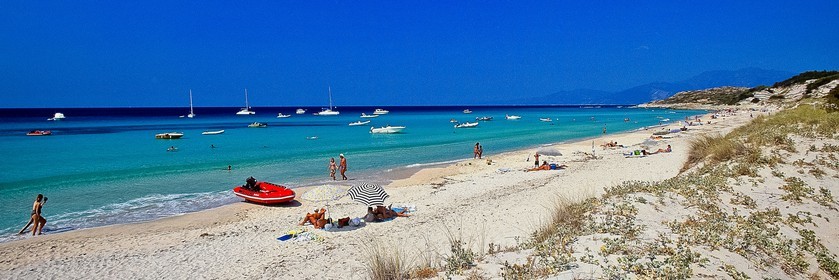 Saleccia