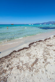 Saleccia