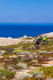 Vtt