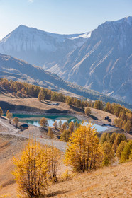 Auron