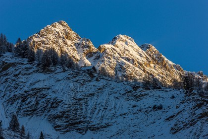 Auron