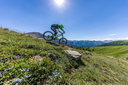Vtt