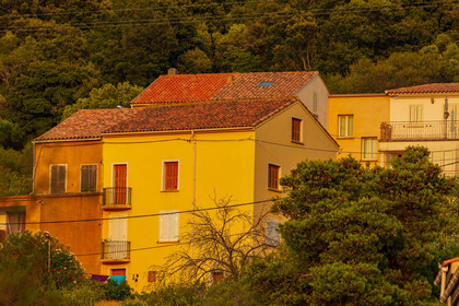 Figari