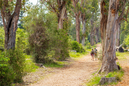 Lérins Sainte-Marguerite