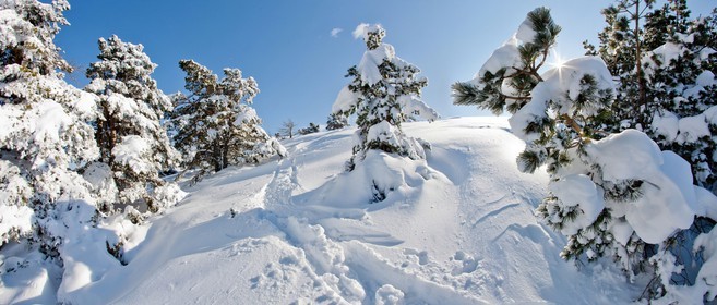 Paysage d'hiver