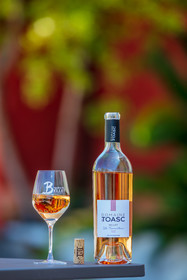 Domaine de Toasc