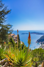 Eze Jardin exotique