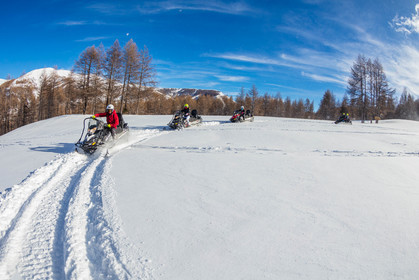 Skidoo