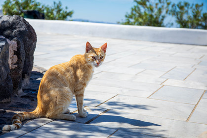 Santorin, Oia