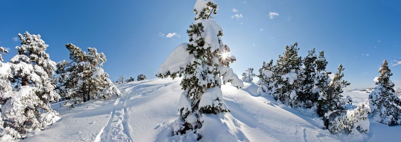 Paysage d'hiver