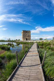 Tour Carbonnière