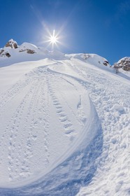 Auron