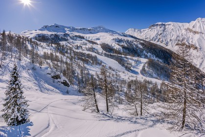 Auron