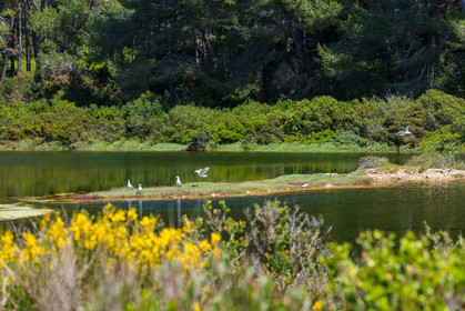 Lérins Sainte-Marguerite