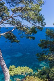 La Seyne-sur-Mer