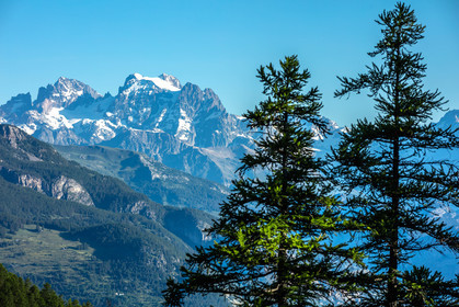 Barre des Ecrins