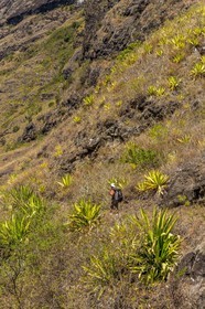 Ile de La Réunion