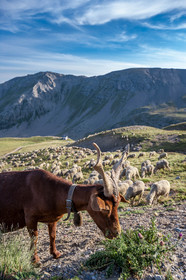 Col de la Bonette
