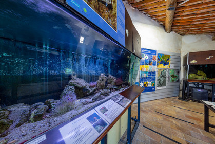 Lérins, Sainte-Marguerite