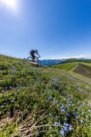 Vtt