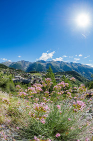 Auron