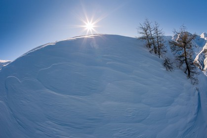 Auron