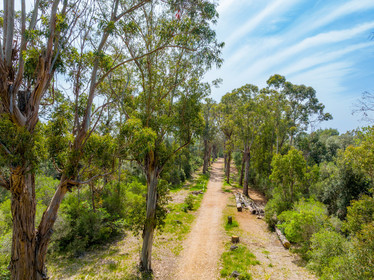 Lérins Sainte-Marguerite