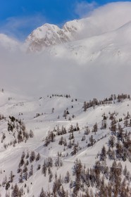 Isola 2000