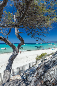 Saleccia