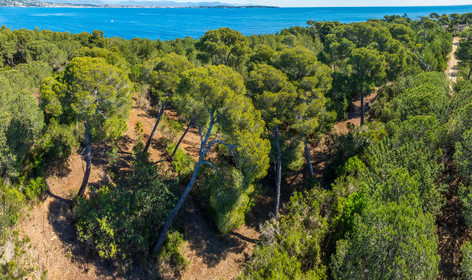 Lérins Sainte-Marguerite 2024