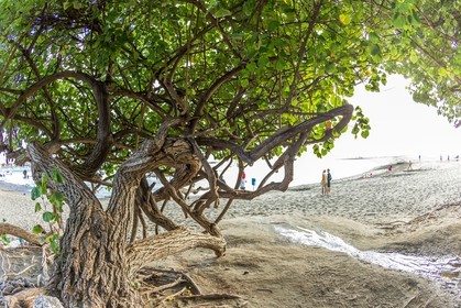 Ile de La Réunion
