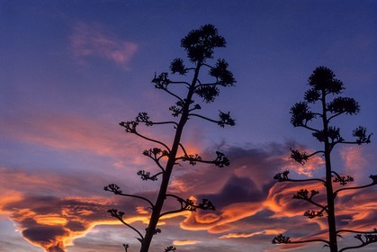 Nuages lenticulaires