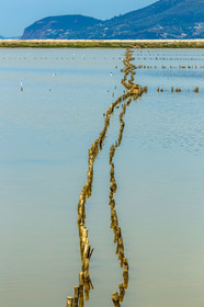 Salins d'Hyères