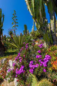 Eze Jardin exotique