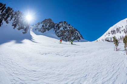 Freeride