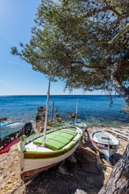 Plage de la Verne