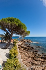 Le Lavandou