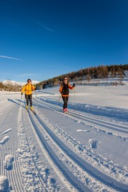 Ski de fond