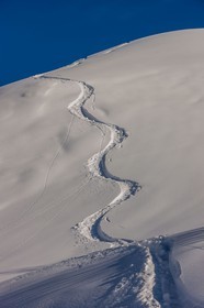 Auron