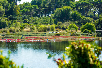 Lérins, Sainte-Marguerite