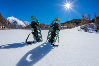 Raquettes à neige