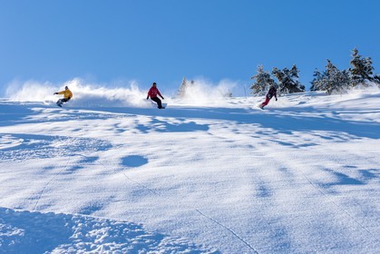 Snowboard