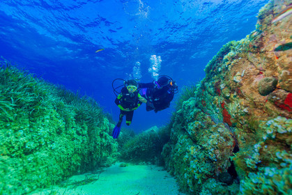 Plongée-sous-marine