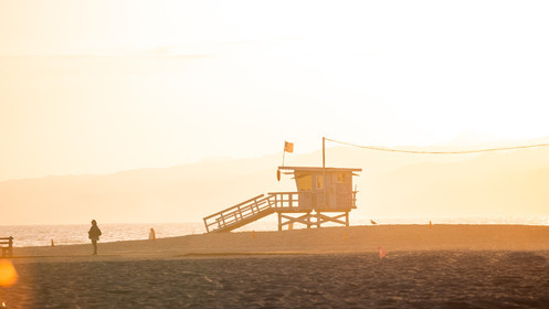 Etats-Unis, Californie-du-Sud, Los Angeles, Venice, Venice Beach