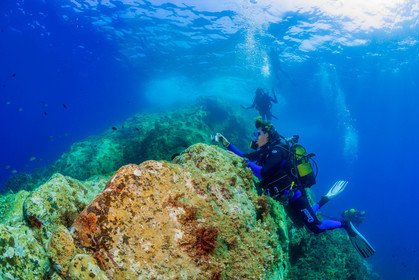 Plongée-sous-marine