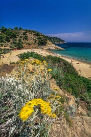 Cavalaire