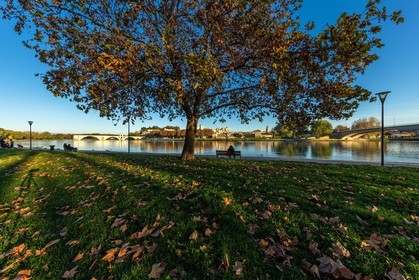 Avignon