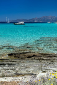 Saleccia