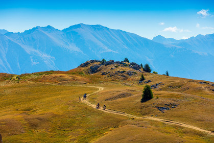 Auron