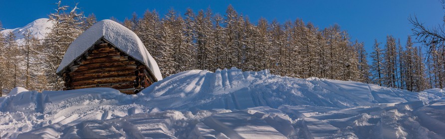 Auron